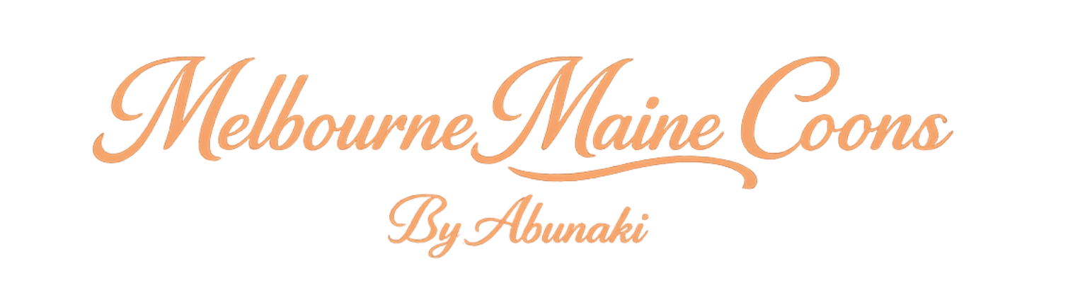 Melbourne Maine Coons By Abunaki